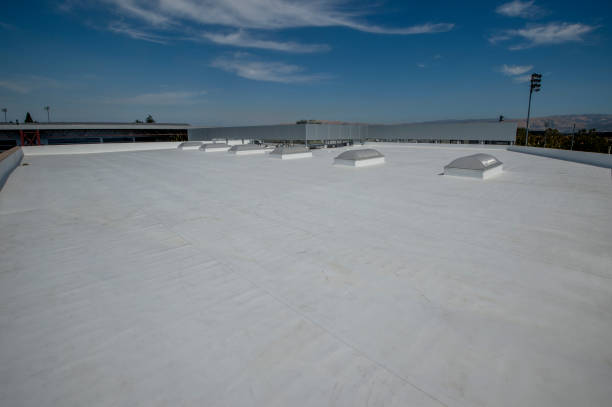 Best Metal Roofing Installation  in Mount Ora, OH